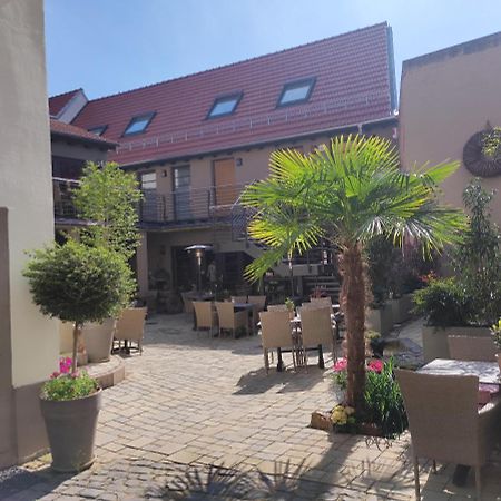 Hofgarten Rosa Ilbesheim bei Landau in der Pfalz Kültér fotó